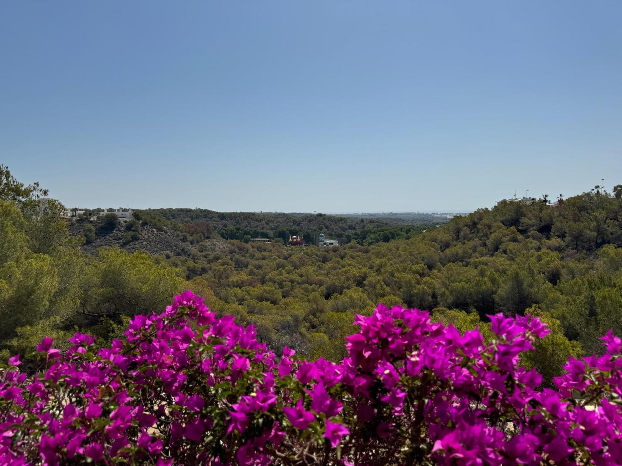 Orihuela - Las Ramblas - Casa Pino Dehesa de Campoamor  Exterior foto
